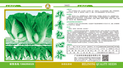 華青包心芥（442）