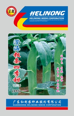 正源澄海粗條四季甜芥蘭