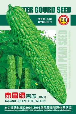 泰國(guó)綠苦瓜(1021)