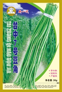 臺中7號豆角