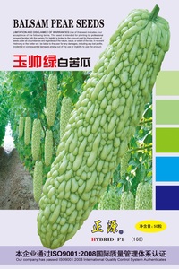 玉帥綠白苦瓜(168)