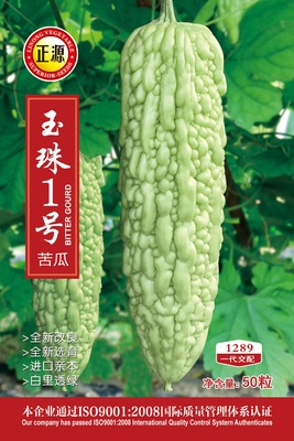 玉珠1號(hào)苦瓜（1289）