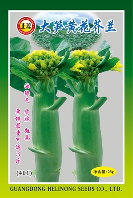 大筍黃花芥蘭（401）