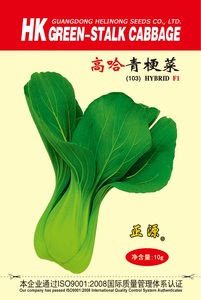 高哈青梗菜(103)