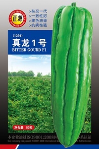 真龍1號(hào)苦瓜（1291）
