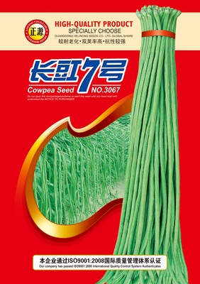 長豇7號豆角