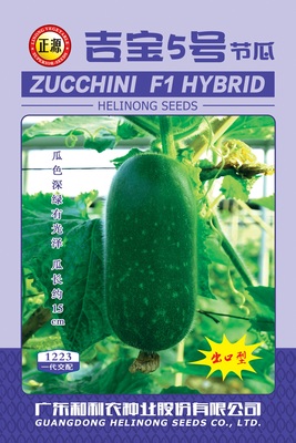 吉寶5號(hào)節(jié)瓜（1223）