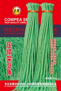 壓塌架豆角