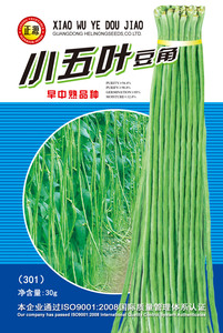 小五葉豆角王