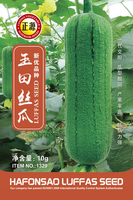 玉田肉絲瓜（1329）