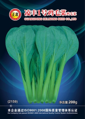 凌豐1號雞毛菜（2159）