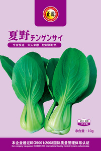 夏野青梗菜（2110）10g