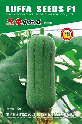 玉兔肉絲瓜（1233）