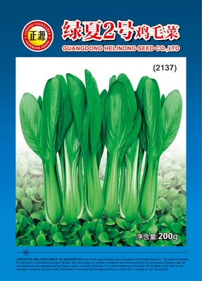 綠夏2號(hào)雞毛菜（2137）