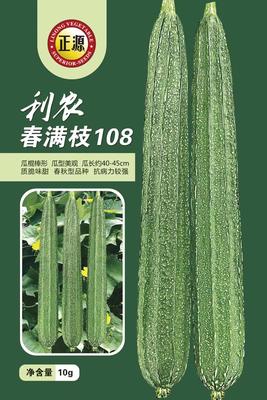 秋滿樓308花點(diǎn)絲瓜