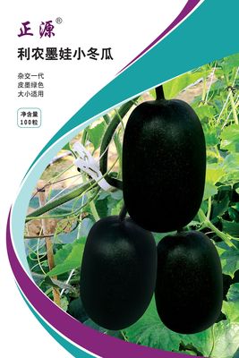 利農(nóng)墨娃小冬瓜