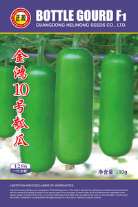 金鴻10號瓠瓜