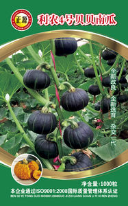 利農(nóng)4號貝貝南瓜1000粒