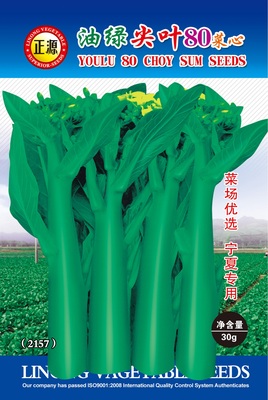 油綠尖葉80菜心（2157）