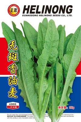 無斑香油麥(4008)