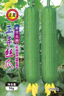 玉豐絲瓜(1328)