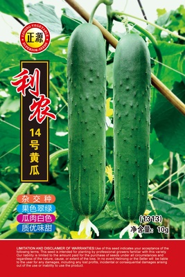 利農(nóng)14號(hào)黃瓜