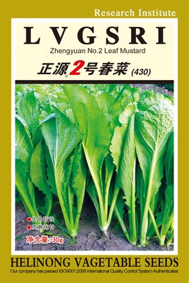 正源2號(hào)春菜（430）