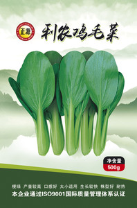 利農雞毛菜