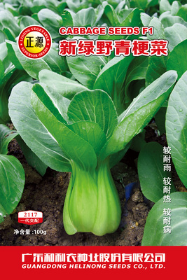 新綠野青梗菜(2117)