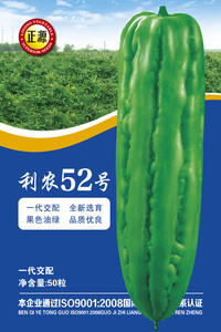 利農(nóng)52號苦瓜