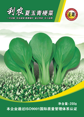 利農(nóng)夏玉青梗菜 