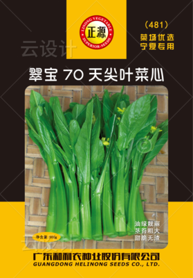 翠寶70天尖葉菜心500g