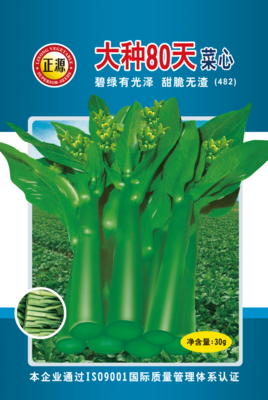 正源大種80天菜心400g