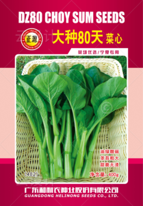 大種80天菜心(482)