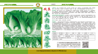 改良大肉包心芥菜（442）