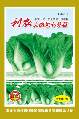 利農(nóng)大肉包心芥菜(443)