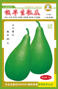 正源極早生瓠瓜