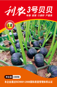 利農(nóng)3號貝貝南瓜