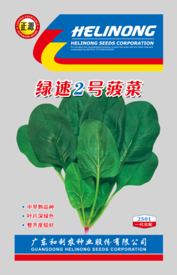 綠速2號(hào)菠菜（2501）