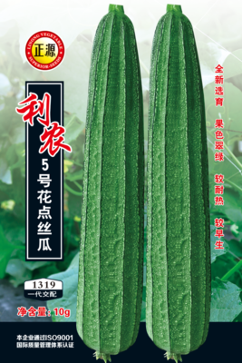 利農(nóng)5號(hào)花點(diǎn)絲瓜