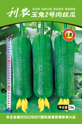 利農(nóng)玉兔2號肉絲瓜