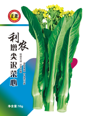 利農(nóng)增尖遲菜心