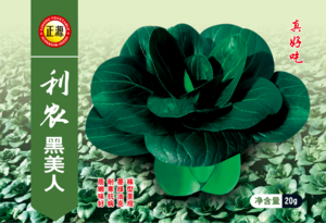利農(nóng)黑美人