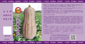 廣海蜜本南瓜