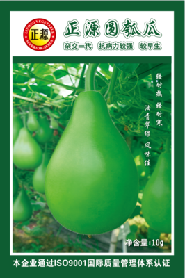 正源圓瓠瓜