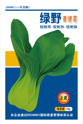 綠野青梗菜（2095）