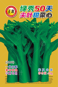 綠秀50天尖葉甜菜心（3166）