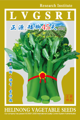 正源矮腳45天菜心