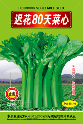 正源遲花80天菜心30g
