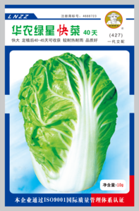 華農(nóng)綠星快菜（427）